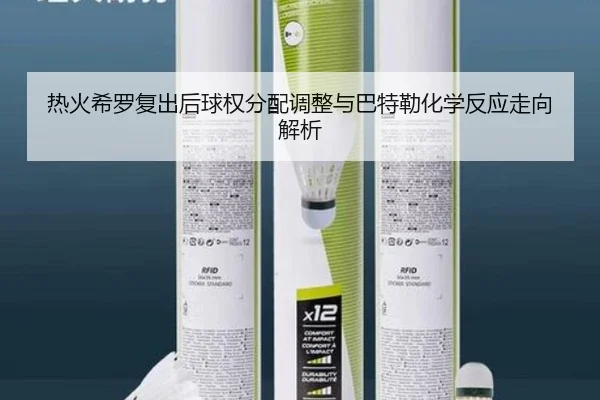 热火希罗复出后球权分配调整与巴特勒化学反应走向解析