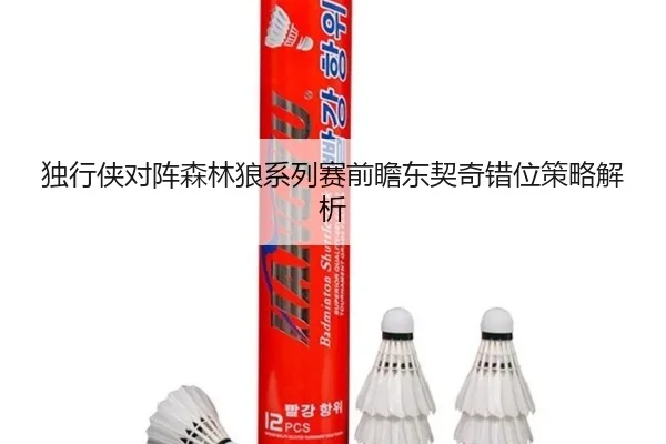 独行侠对阵森林狼系列赛前瞻东契奇错位策略解析